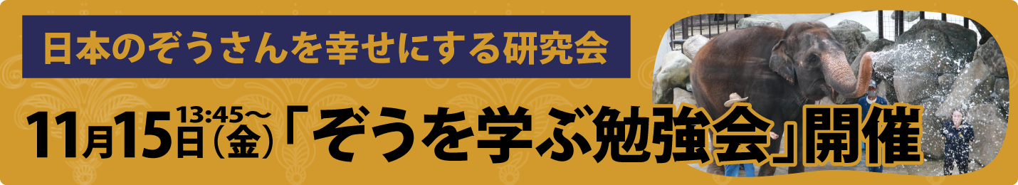 ぞうを学ぶ勉強会