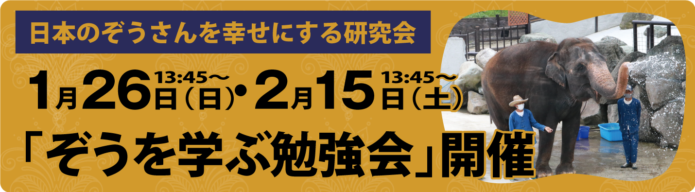 ぞうを学ぶ勉強会