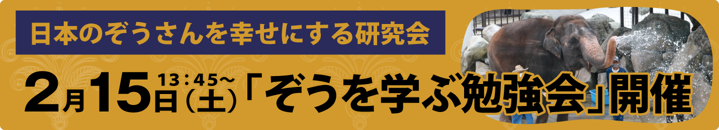 ぞうを学ぶ勉強会