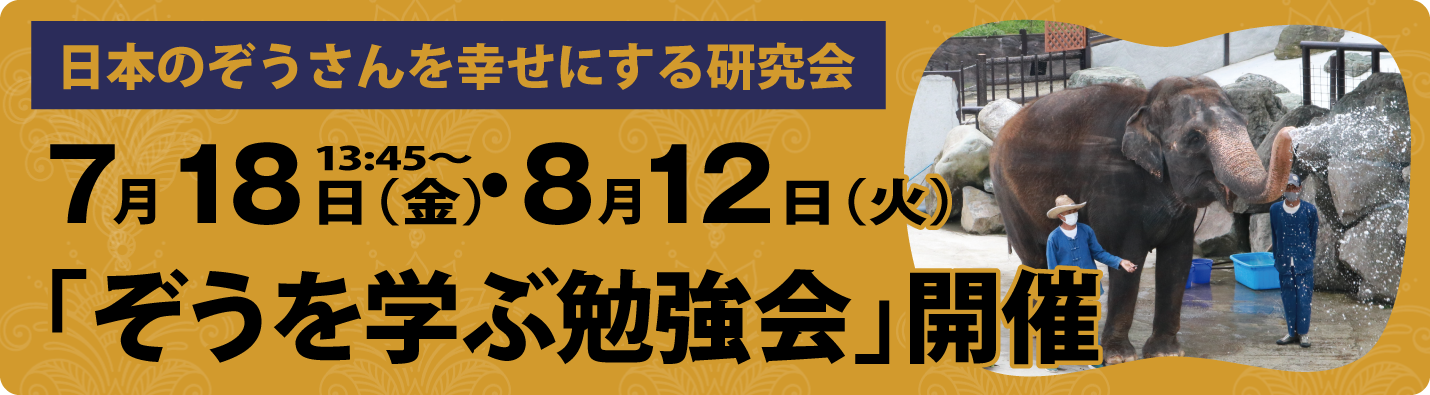 ぞうを学ぶ勉強会