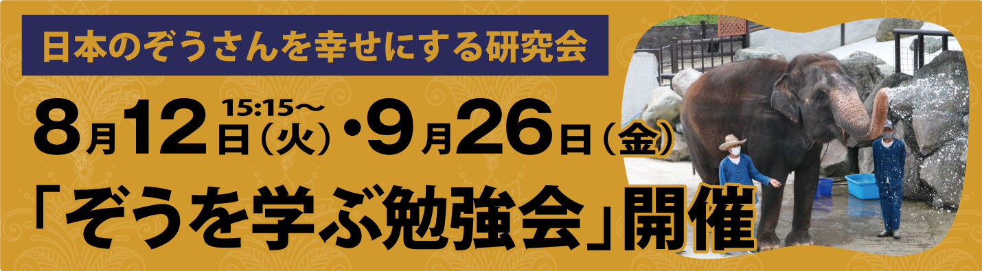 ぞうを学ぶ勉強会
