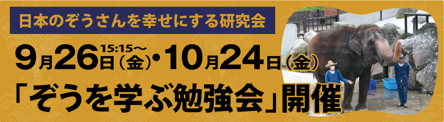 ぞうを学ぶ勉強会