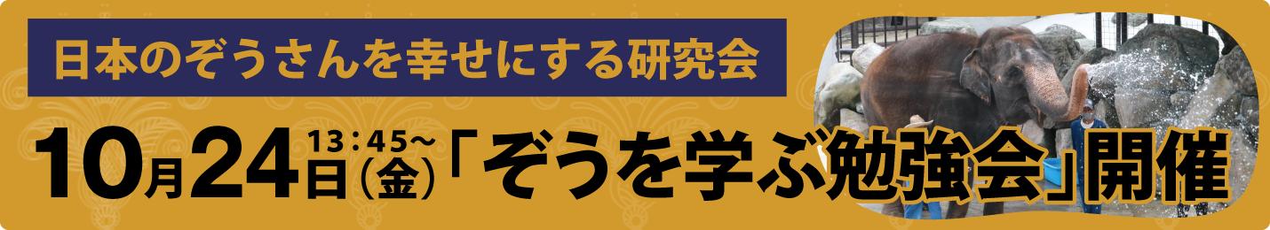 ぞうを学ぶ勉強会