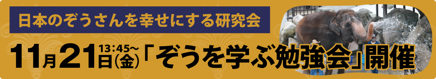 ぞうを学ぶ勉強会