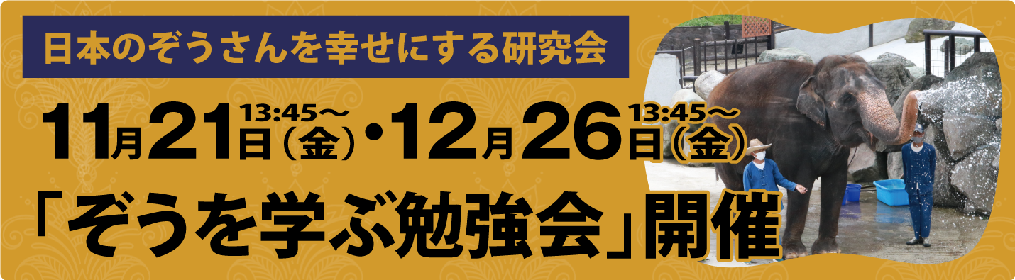 ぞうを学ぶ勉強会