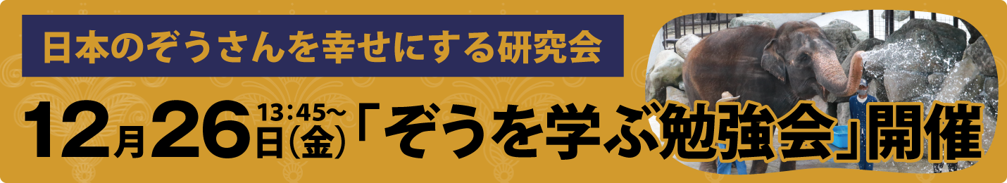 ぞうを学ぶ勉強会