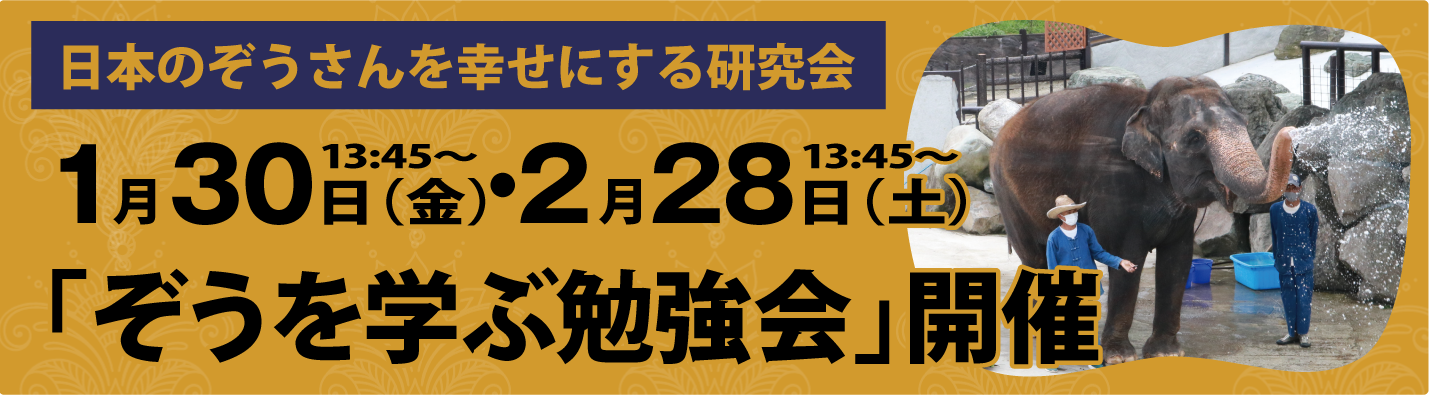 ぞうを学ぶ勉強会