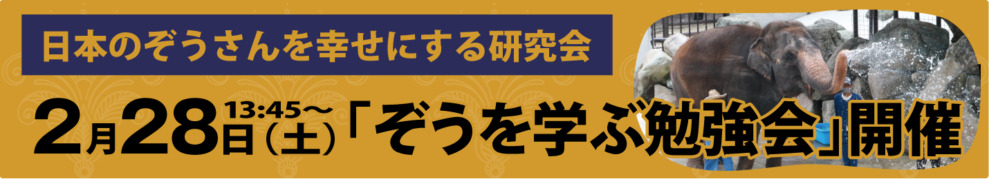ぞうを学ぶ勉強会