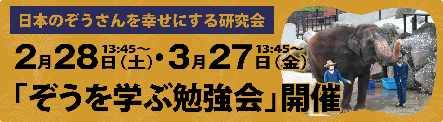 ぞうを学ぶ勉強会