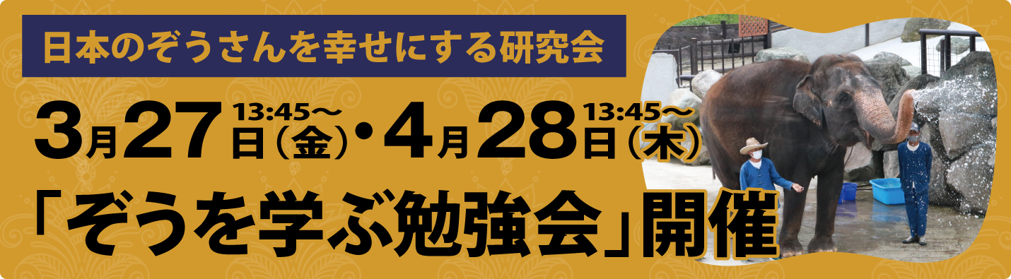 ぞうを学ぶ勉強会