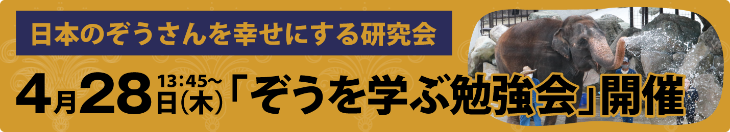 ぞうを学ぶ勉強会