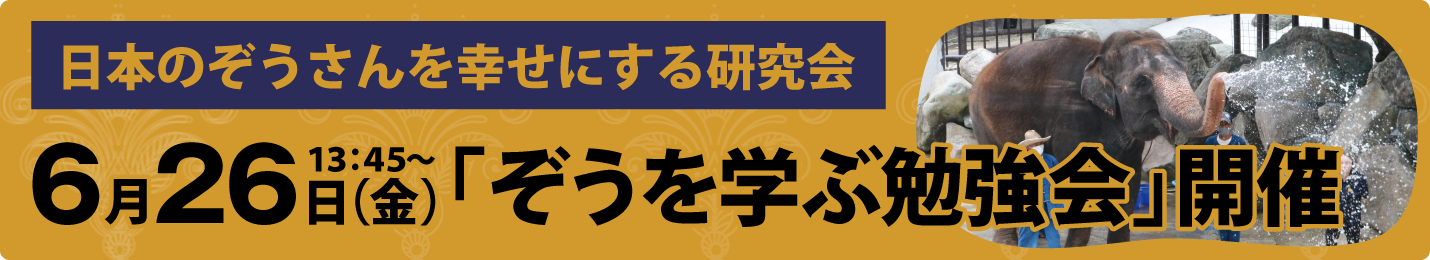 ぞうを学ぶ勉強会
