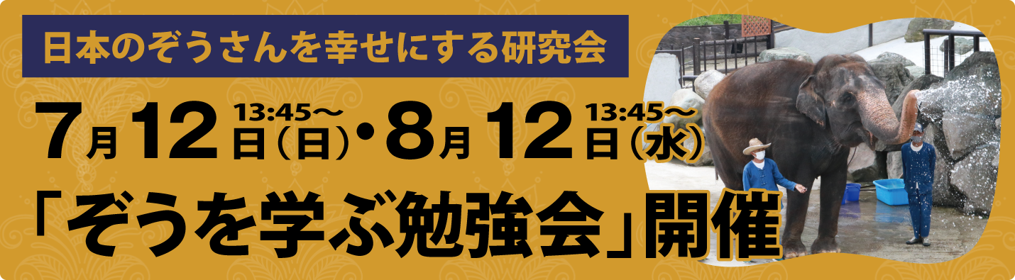 ぞうを学ぶ勉強会