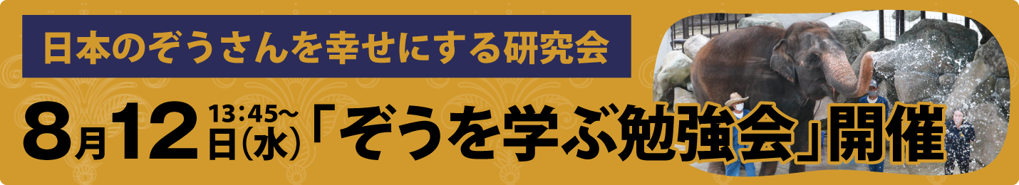 ぞうを学ぶ勉強会