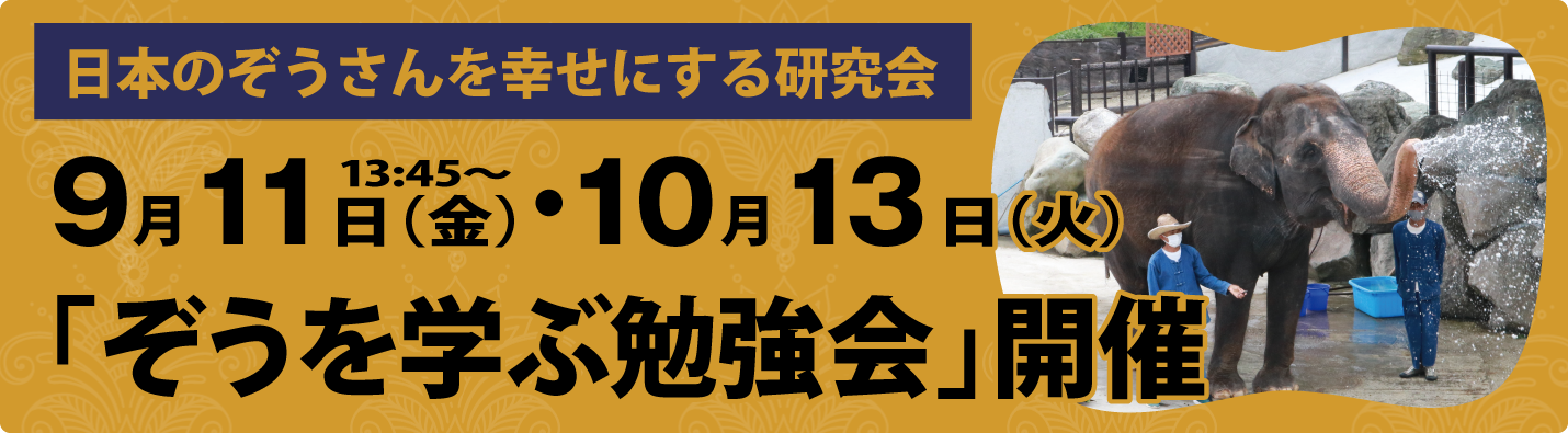 ぞうを学ぶ勉強会