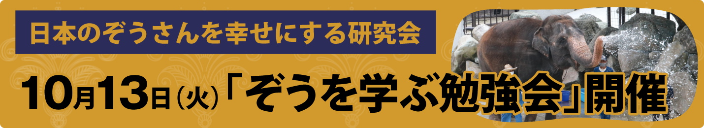 ぞうを学ぶ勉強会