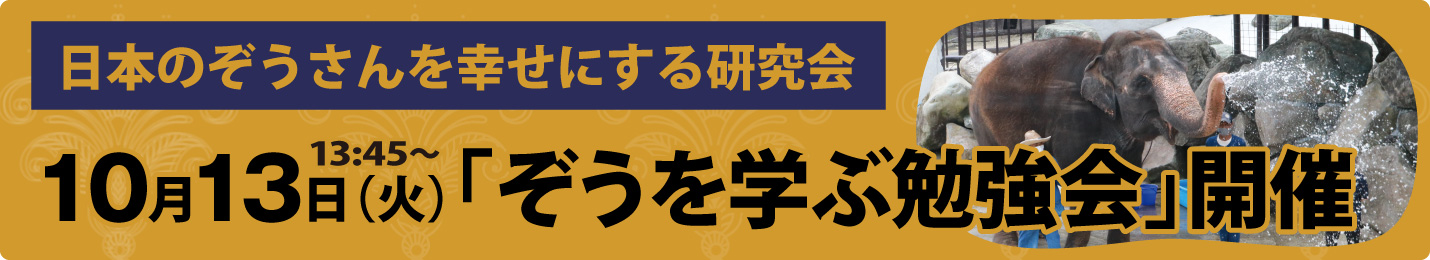ぞうを学ぶ勉強会