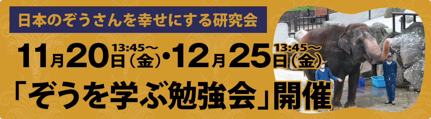 ぞうを学ぶ勉強会