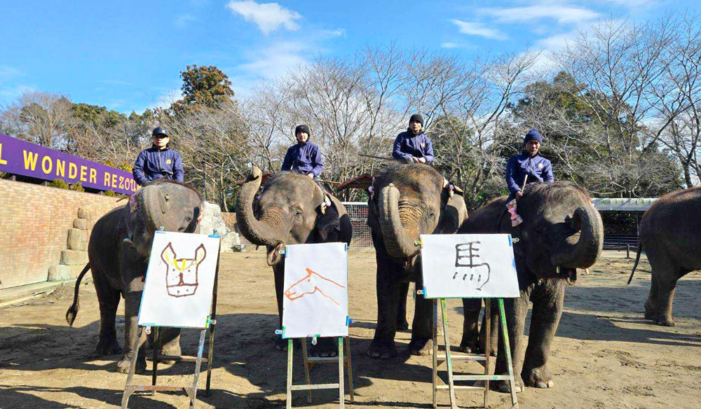 お絵かきとゾウさん