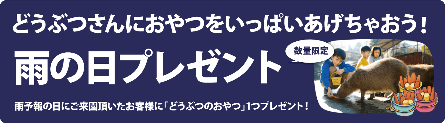 雨の日プレゼント