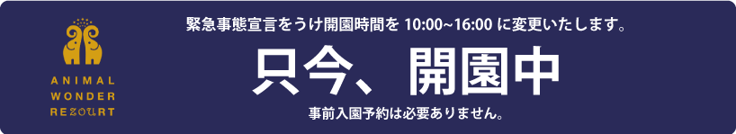 緊急事態宣言をうけ開園時間を10:00~16:00に変更いたします。只今、開園中!!事前遊園予約は必要ありません。