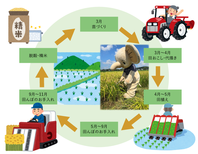 お米のできるまで
