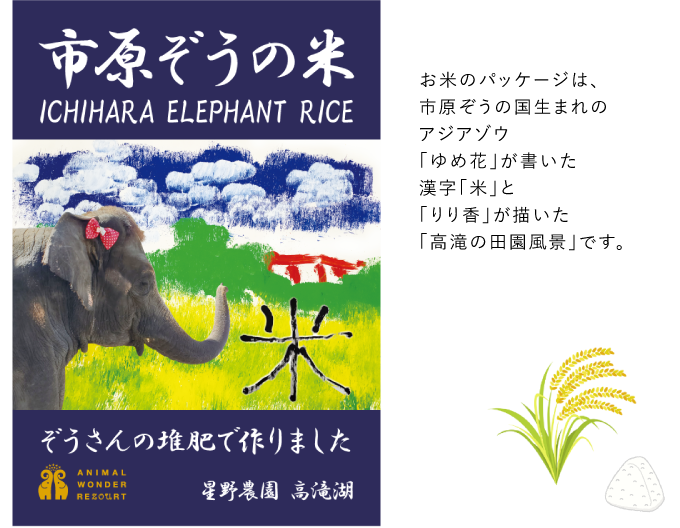 お米のパッケージは、市原ぞうの国生まれのアジアゾウ「ゆめ花」が書いた漢字「米」と「りり香」が描いた「高滝の田園風景」です。