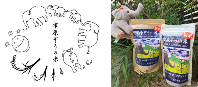 市原ぞう米のイラストと商品画像