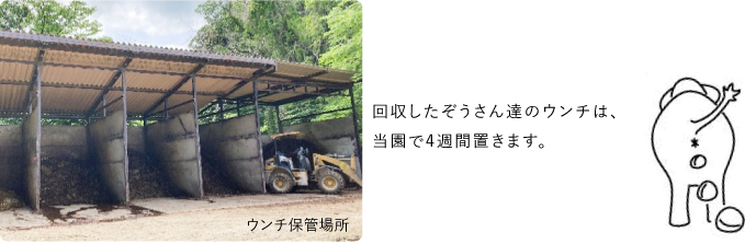 ぞうさんのウンチ1日目～2週間目