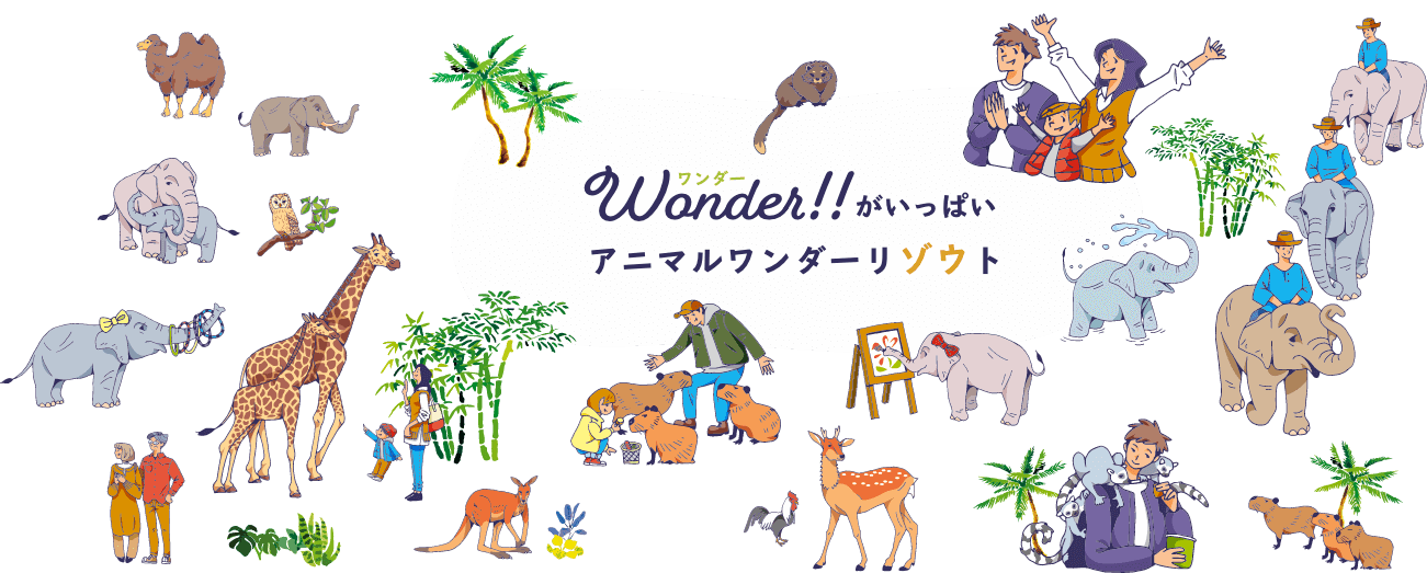 市原ぞうの国・サユリワールドそれぞれの楽しみ方をご紹介!