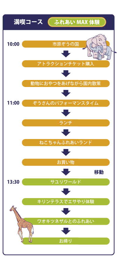 市原ぞうの国の楽しみ方