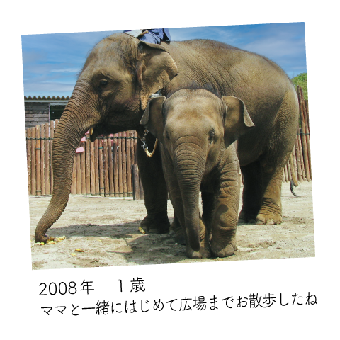 ゆめ花 1歳