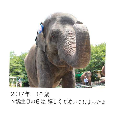 ゆめ花 10歳