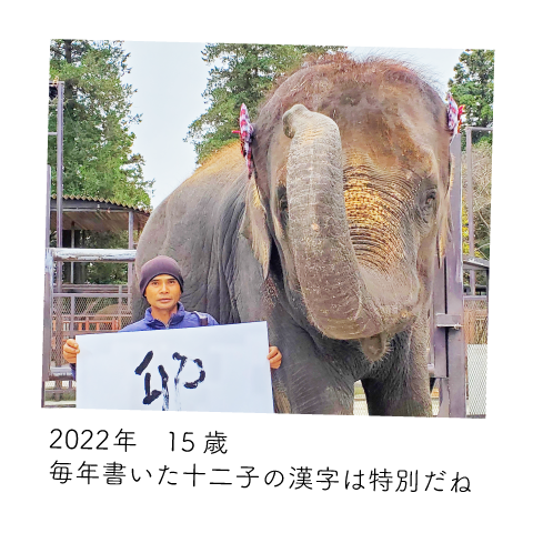 ゆめ花 15歳