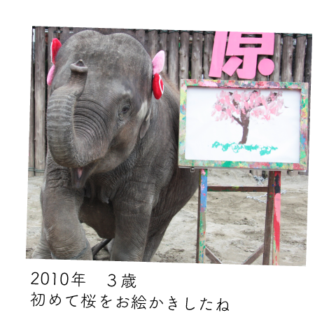 ゆめ花 3歳