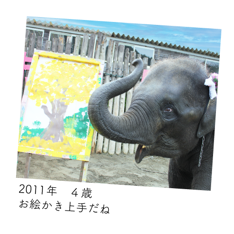 ゆめ花 4歳
