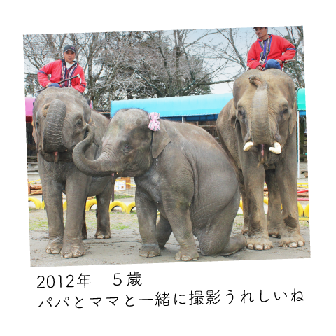 ゆめ花 5歳
