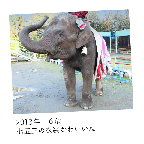 ゆめ花 6歳