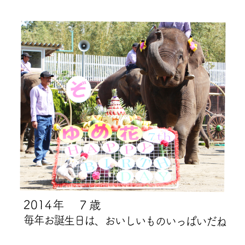 ゆめ花 7歳