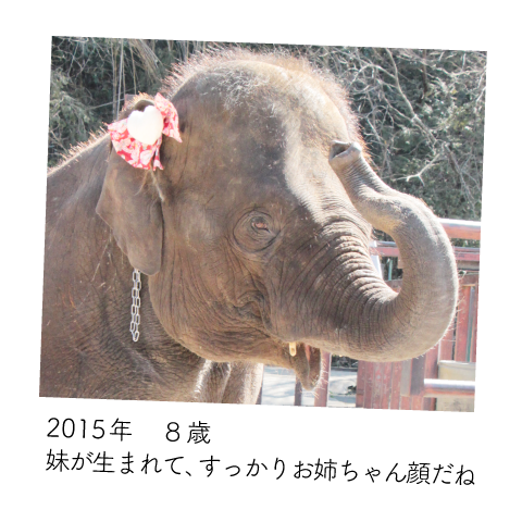 ゆめ花 8歳