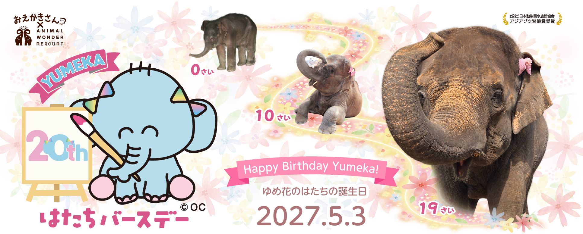 ゆめ花はたちバースデー Happy Birthday Yumeka!
