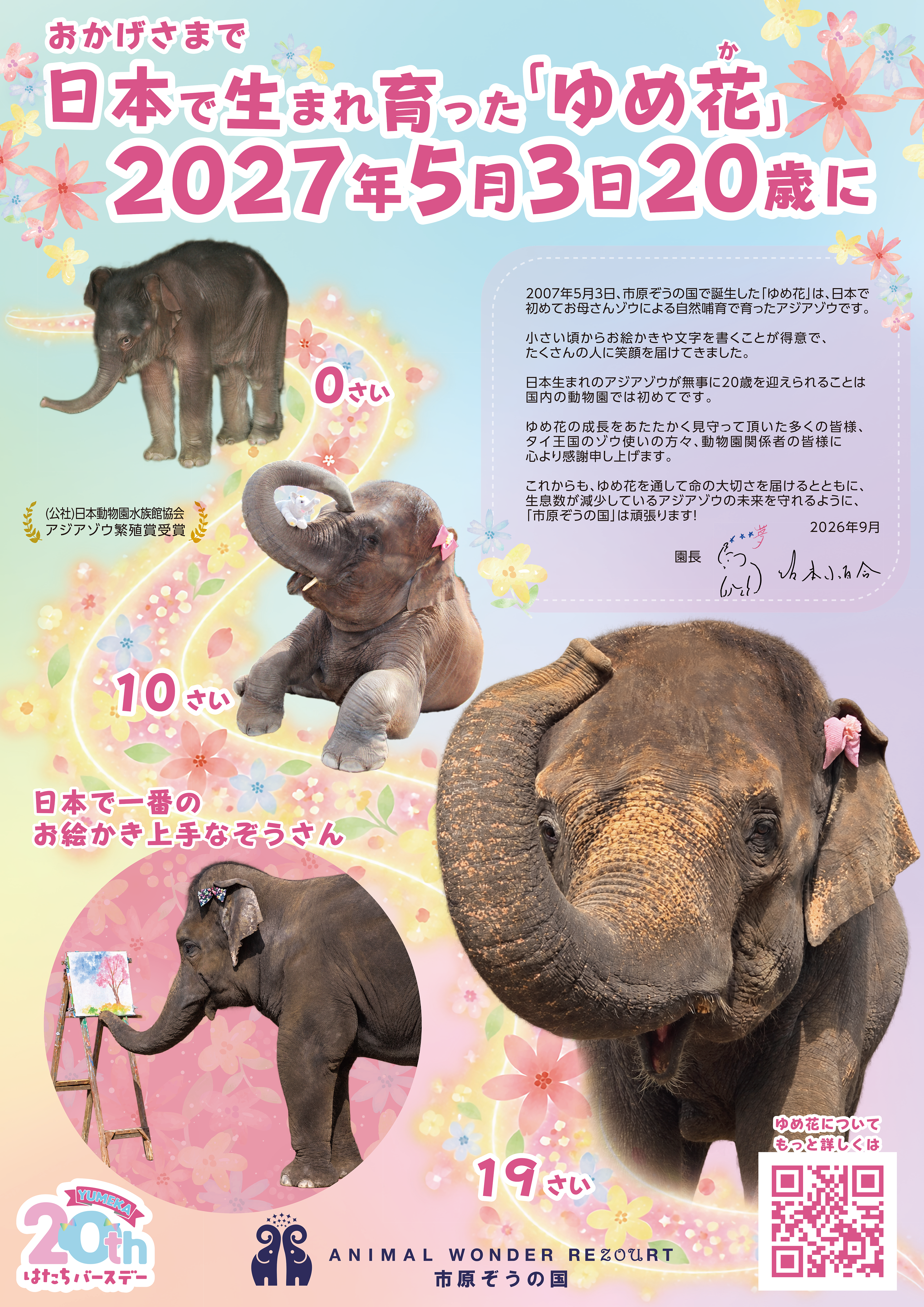 ゆめ花20歳記念ポスター（ピンク）