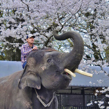 結希の成長記録