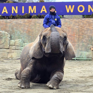 サンディのこれまで