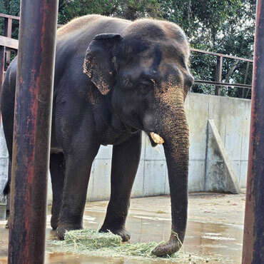 テリーのこれまで