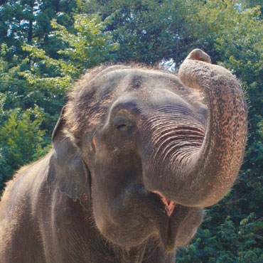 ランディのこれまで