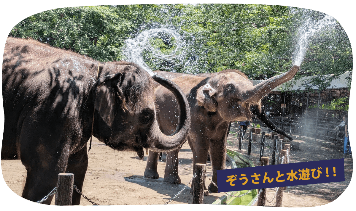 水遊びスライドpc
